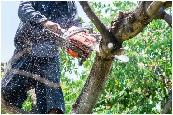 tree services Whiting